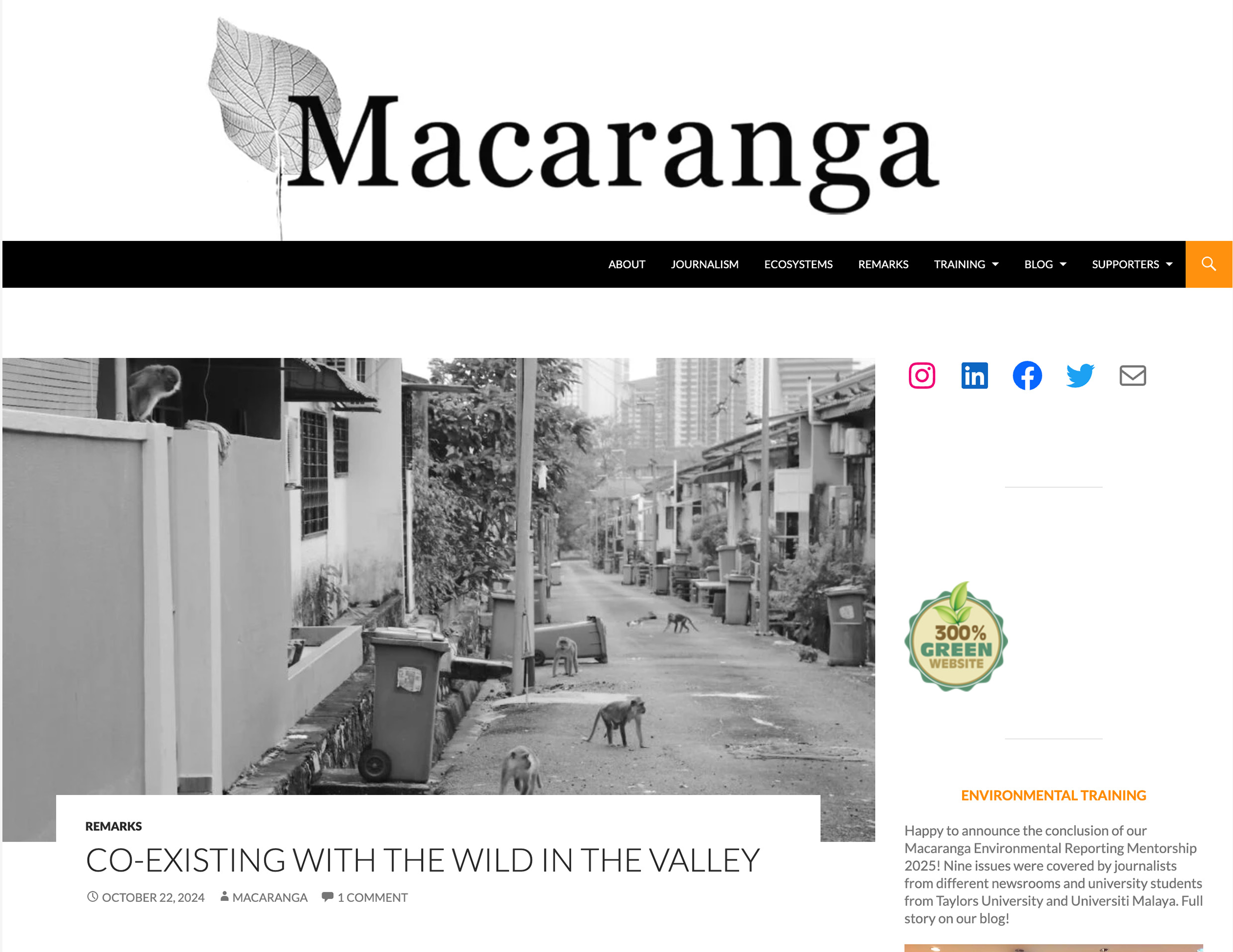 You are currently viewing Macaranga: Coexisting with the wild in the valley
