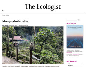Read more about the article Ecologist: Macaques in the midst