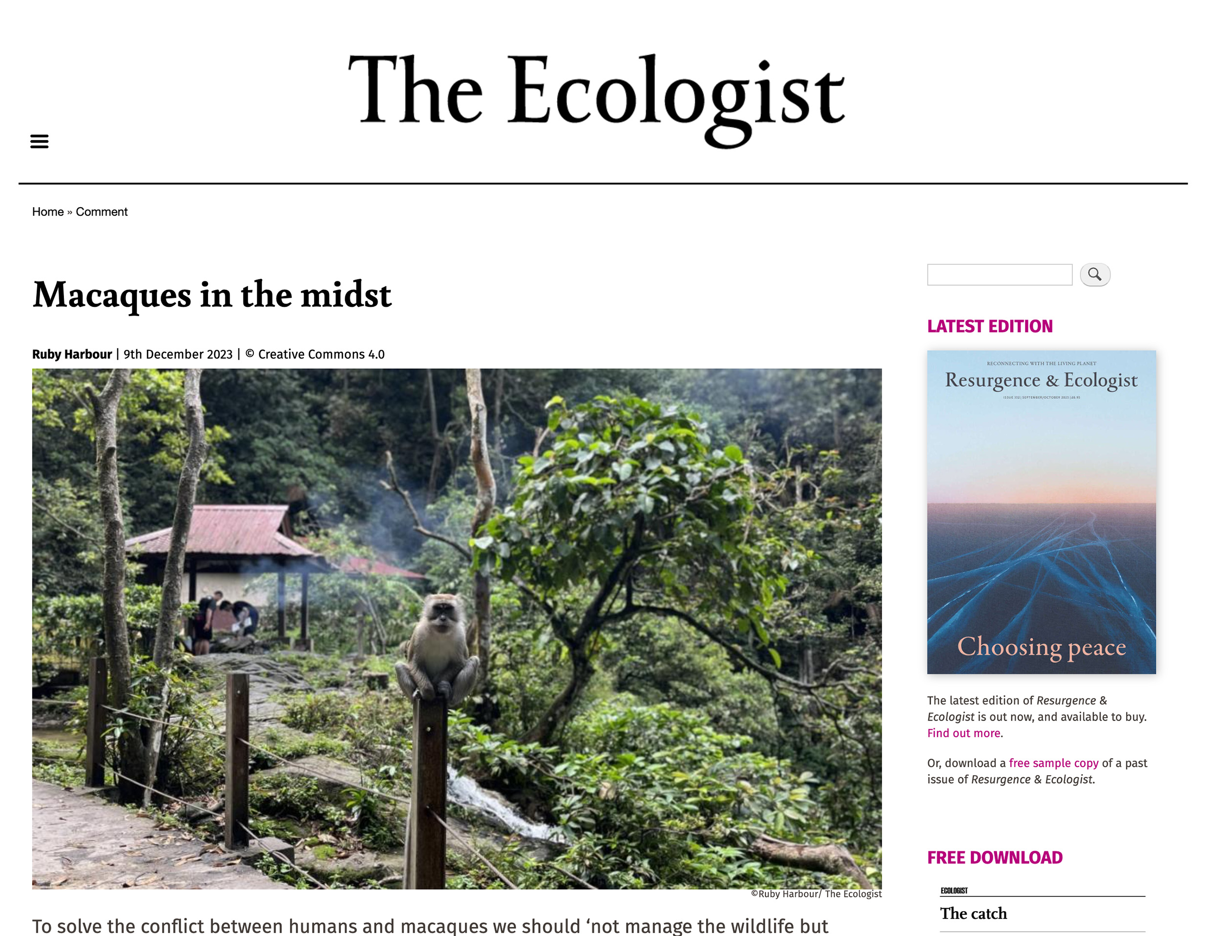 You are currently viewing Ecologist: Macaques in the midst